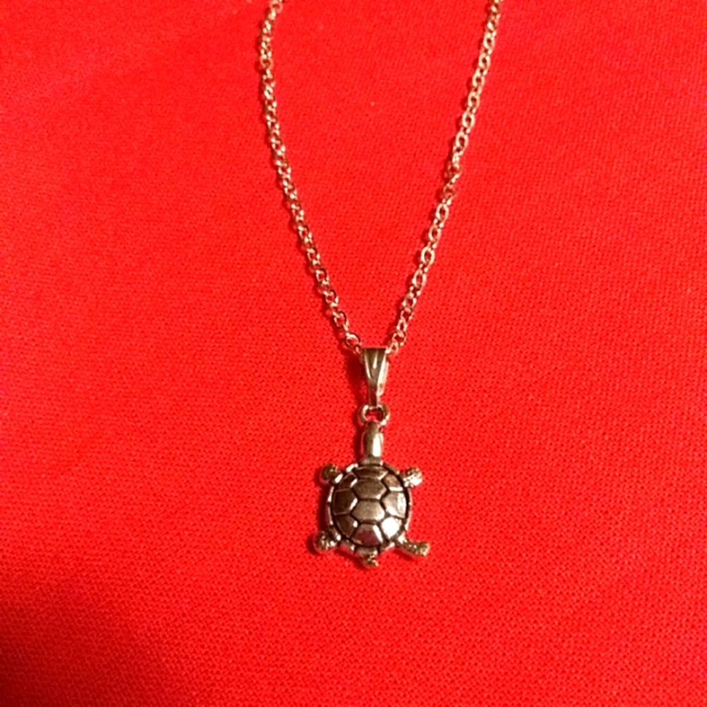Turtle necklace - Picture 1 of 3